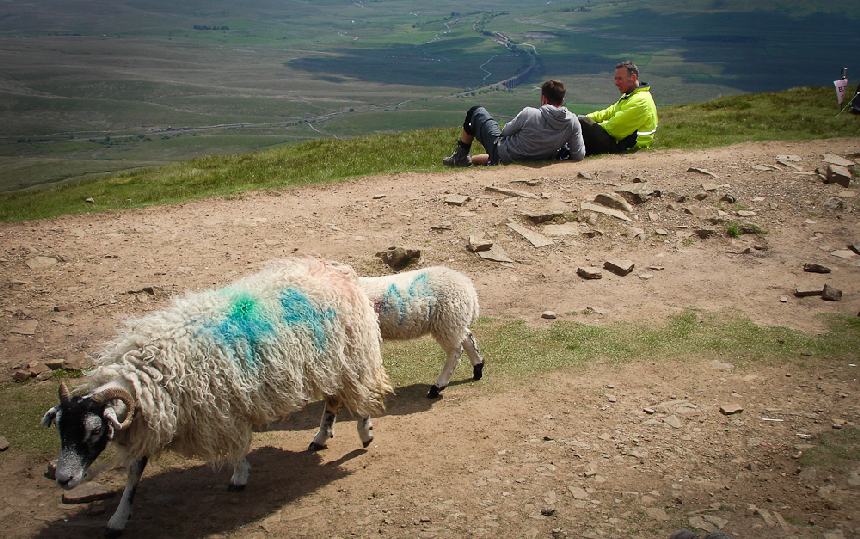 SVP3Peaks201103828